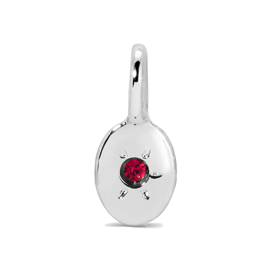 A silver pendant with a red gem.