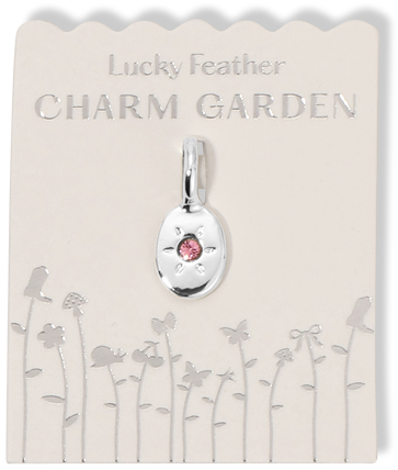 A silver charm with a pink gemstone hangs on a 'Lucky Feather Charm Garden' card.